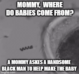 Mommy, where do babies come from?