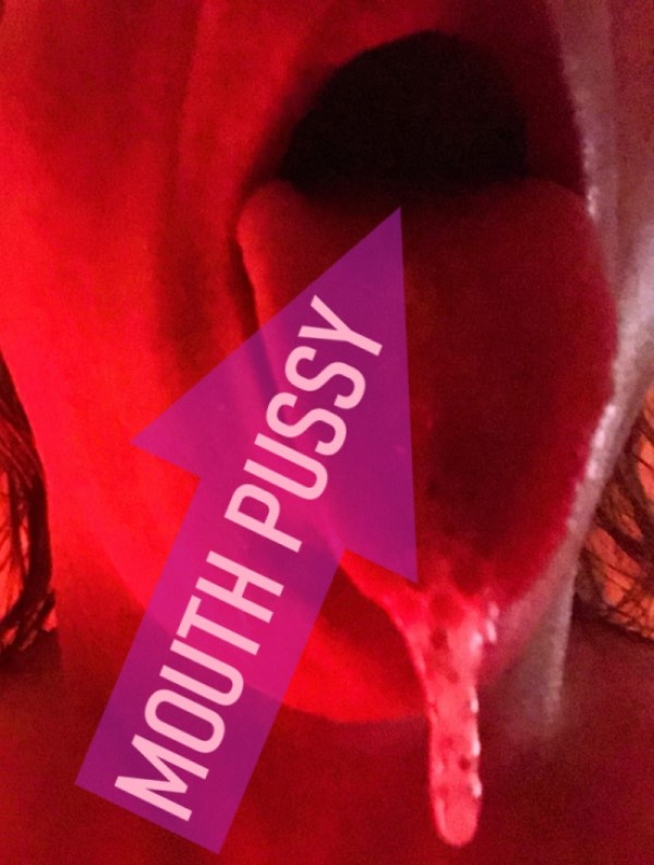 mouth pussy.jpg