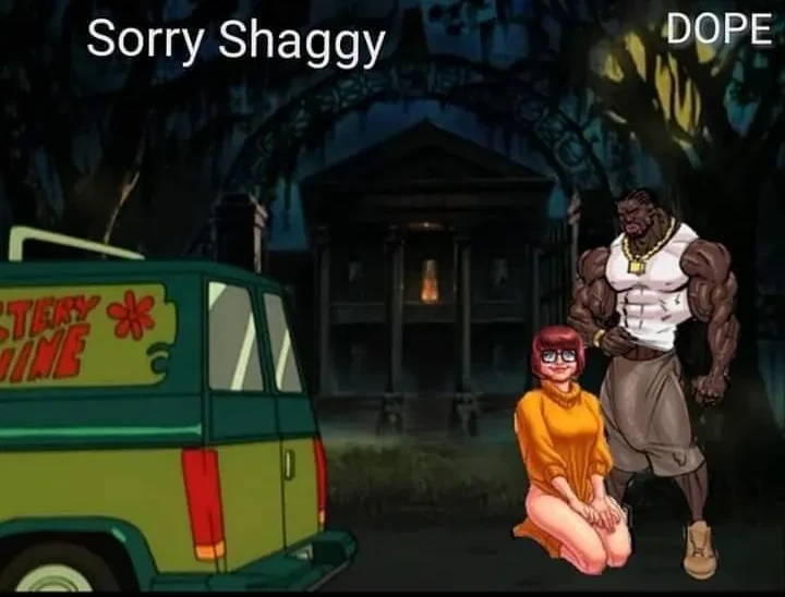 Sorry Shaggy