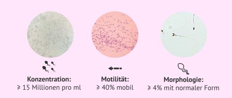 analyse-spermiogramm.jpg