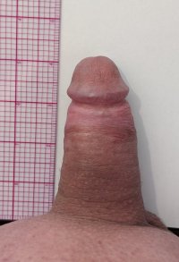 4-inch penis.jpg