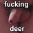 FuckingDeer