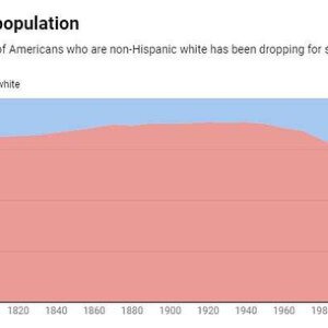 White decline charts