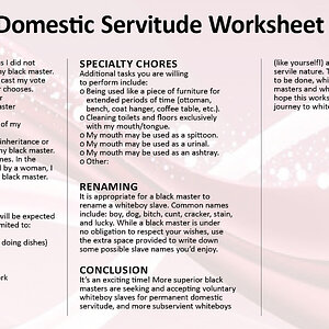 Whiteboy Domestic Servitude Worksheet