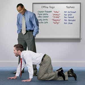Executives men as dogs