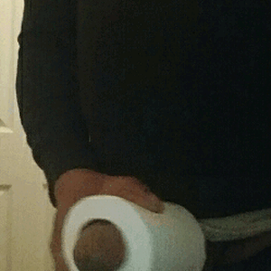 toilet paper roll - pussy substitute 4 whites