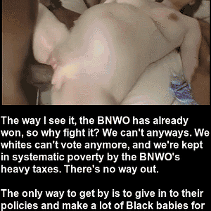 BNWO 011.gif