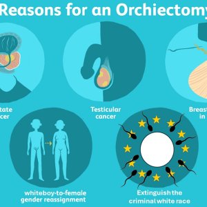 Reasons for Orchiectomy