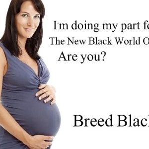 breed black678e.jpg