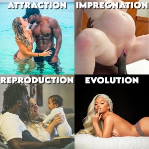 attractionevolution.jpg