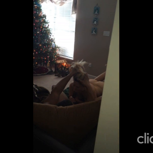 Cuck catches his wife at home with her bull on Christmas Day.mov