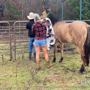 A Great Day At The Texas Hotwife Ranch.mp4