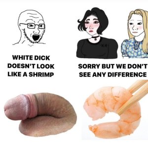 White Shrimp