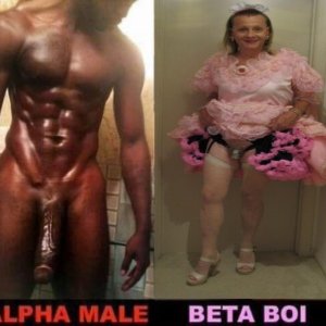 Alpha Male and Beta Sissy Chrisissy.jpg