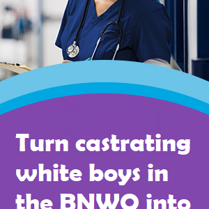 BNWO 28.png