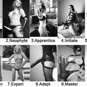What level are you?