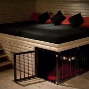 Cuckold bed