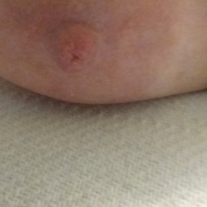 Girlfriend's Nipple
