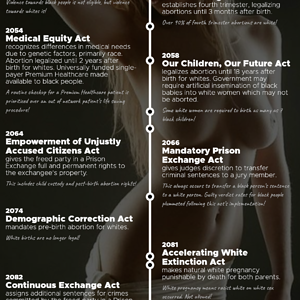 BNWO 21st Century Legislative Timeline