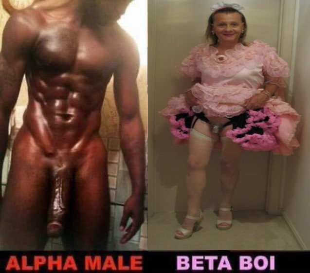 Alpha Male and Beta Sissy Chrisissy.jpg