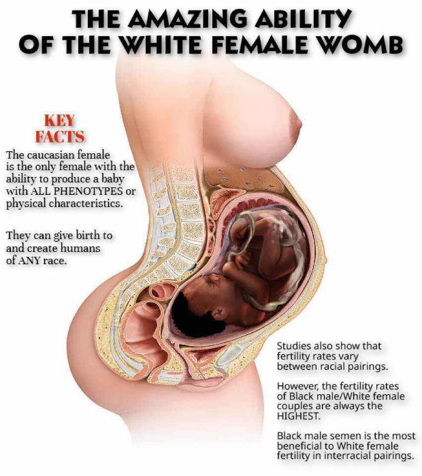 Blacked Womb