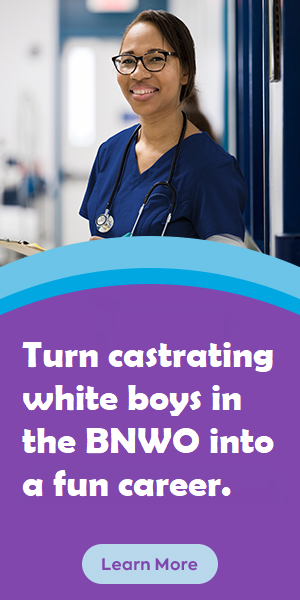 BNWO 28.png