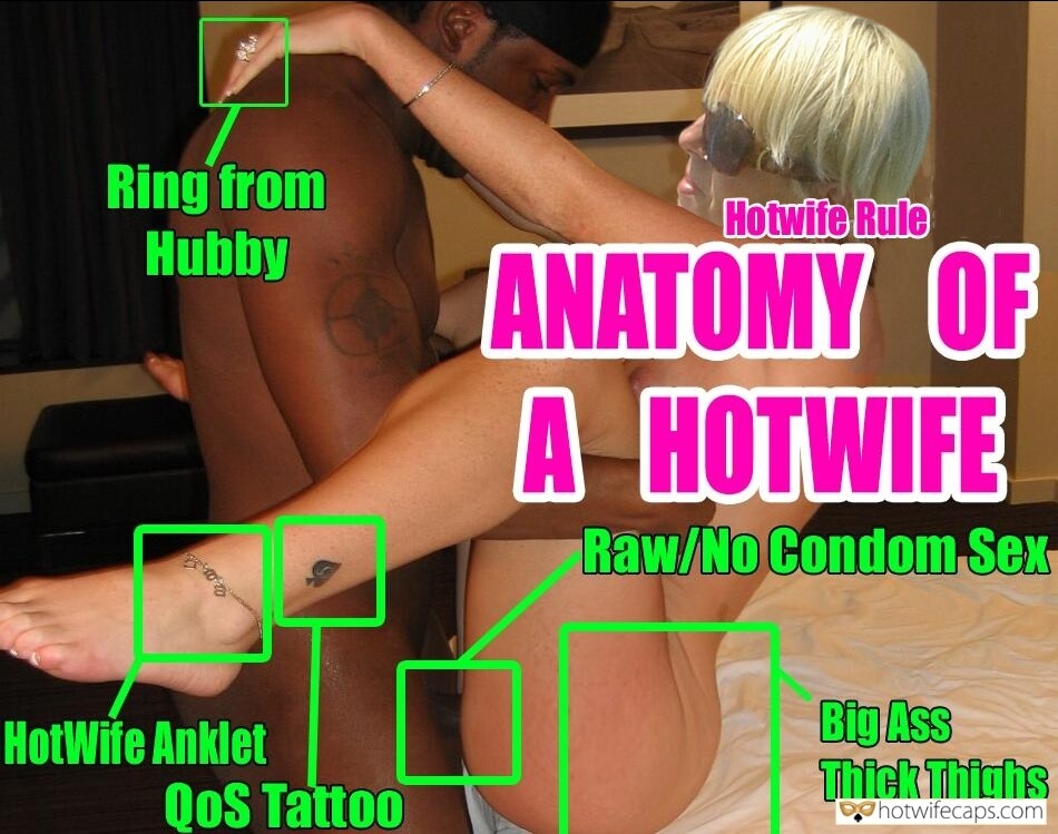 Curva71 BNWO Anatomy Of Hot Wife