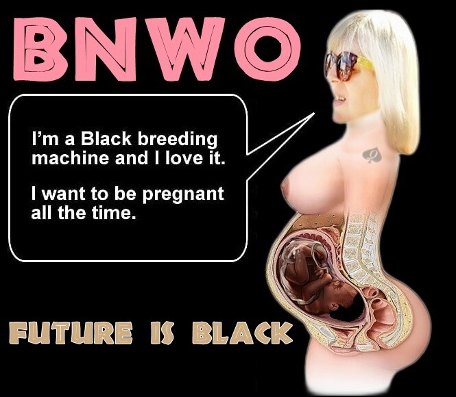 Curva71 BNWO BBC Black Breeding