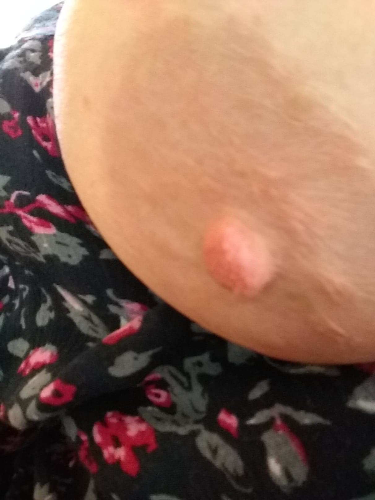 Girlfriends Tit