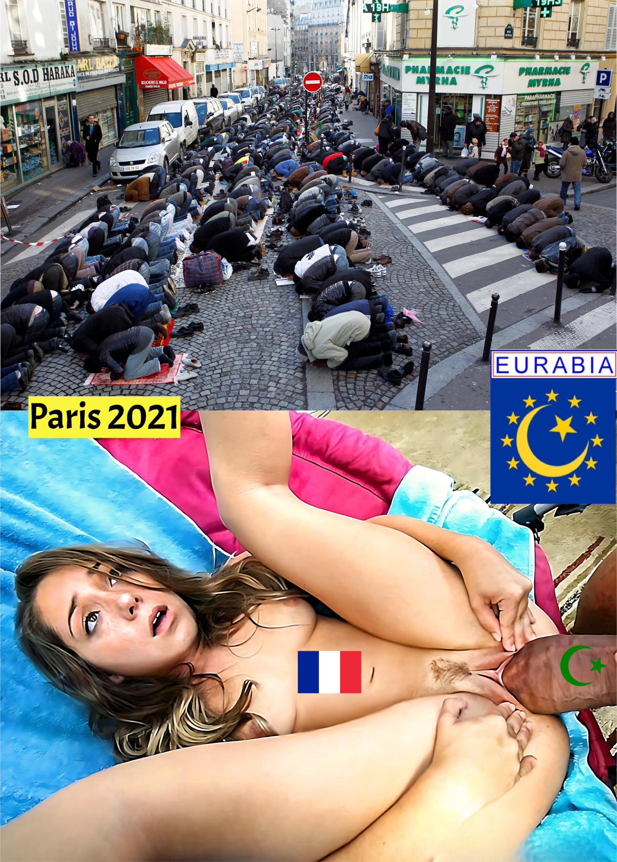 Islam Dominating France