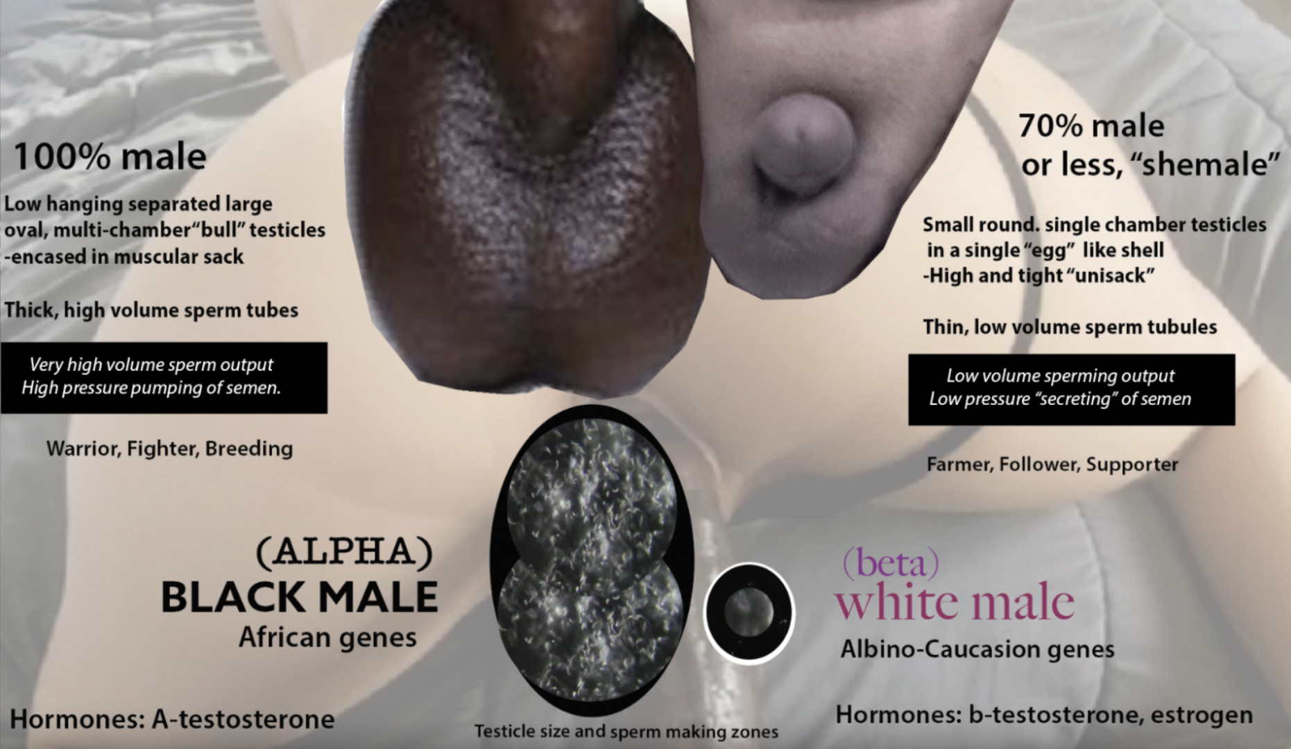 Sex education - Black vs White anatomy